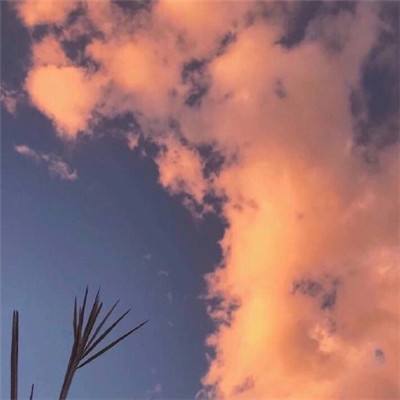 2023澳门资料大全正版手机app下载截图